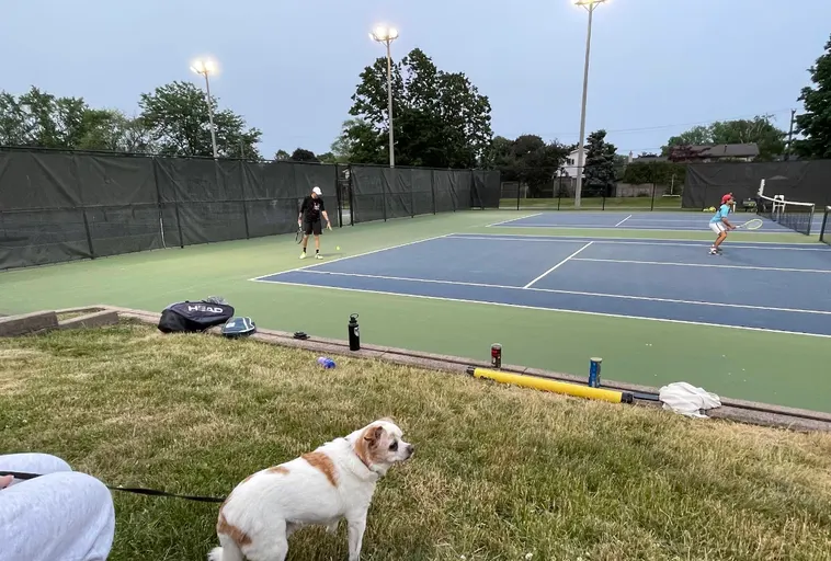 An Image of Tennis Courts at Appleby Tennis Club in Burlington