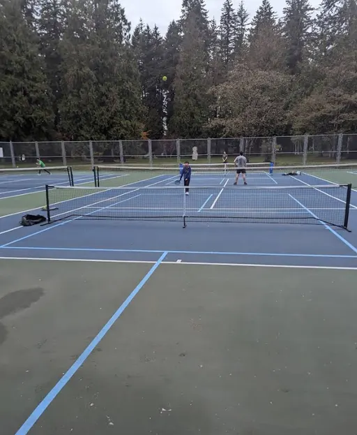 An Image of Tennis Courts at Blue Mountain Park in Coquitlam