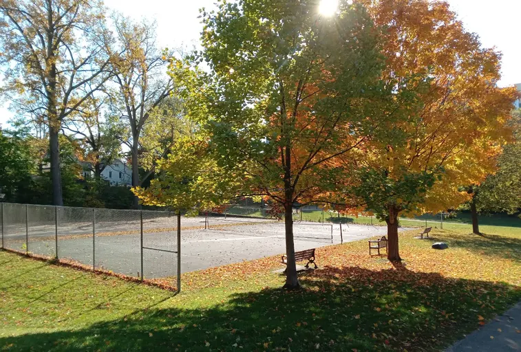 An Image of Tennis Courts at Doidge Park in London