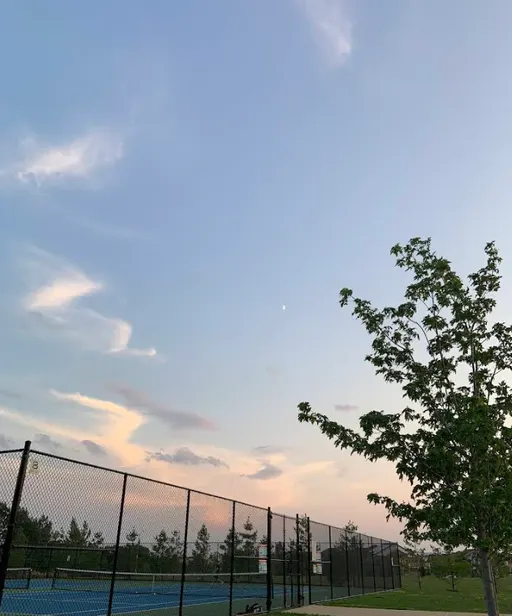 An Image of Tennis Courts at Frisby Park in Markham