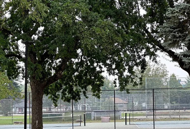 An Image of Tennis Courts at Memorial South Park in Vancouver