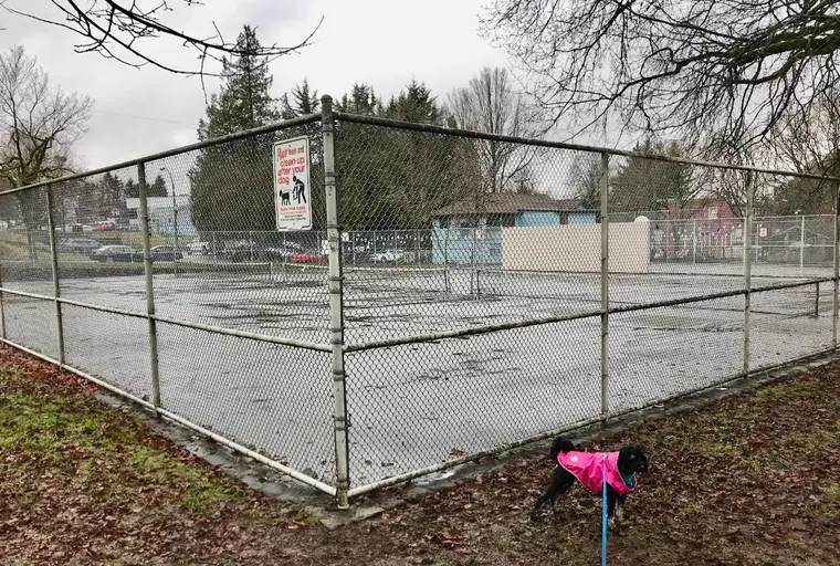 An Image of Tennis Courts at Robson Park in Vancouver