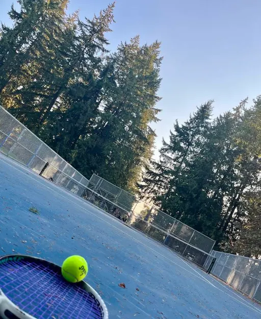 An Image of Tennis Courts at Endersby Park in Delta