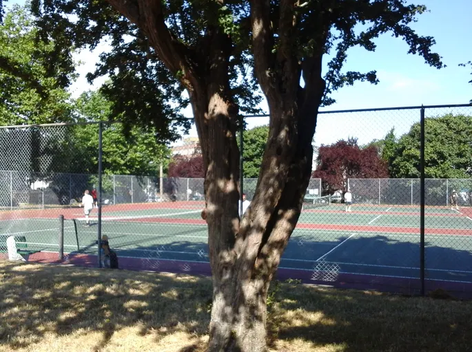 An Image of Tennis Courts at Todd Park in Victoria