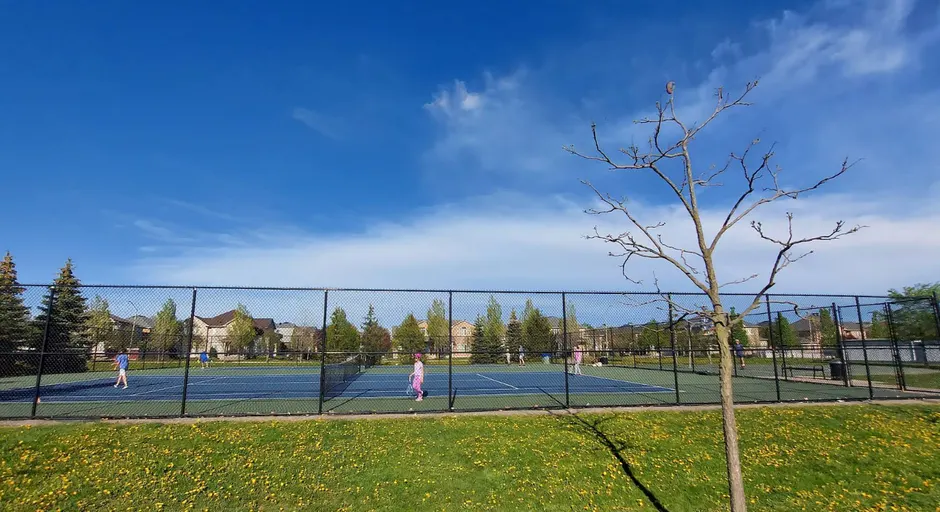 An Image of Tennis Courts at Henry White Park in Markham