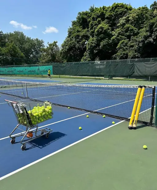An Image of Tennis Courts at Henry Farm Tennis Club in North York