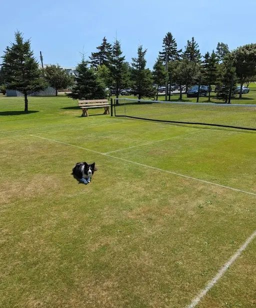 An Image of Tennis Courts at Rustico Resort Golf & Tennis Club in New Glasgow