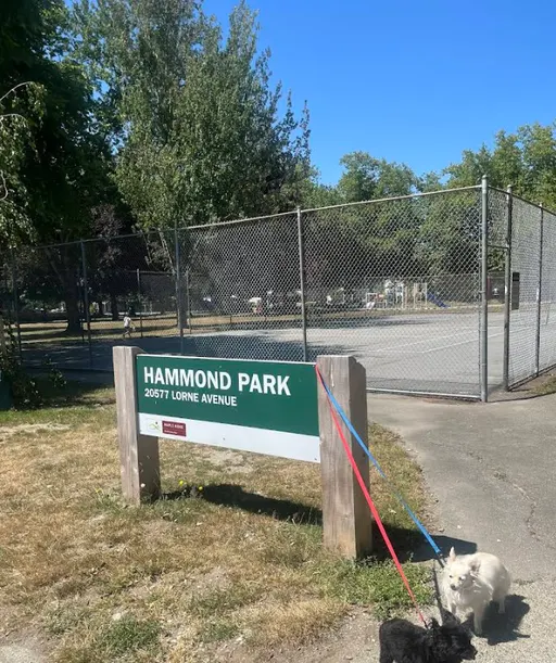 An Image of Tennis Courts at Hammond Park in Maple Ridge