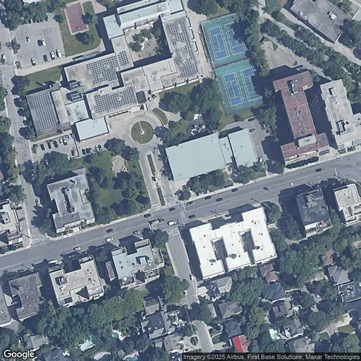 Tennis in Forest Hill Tennis Club